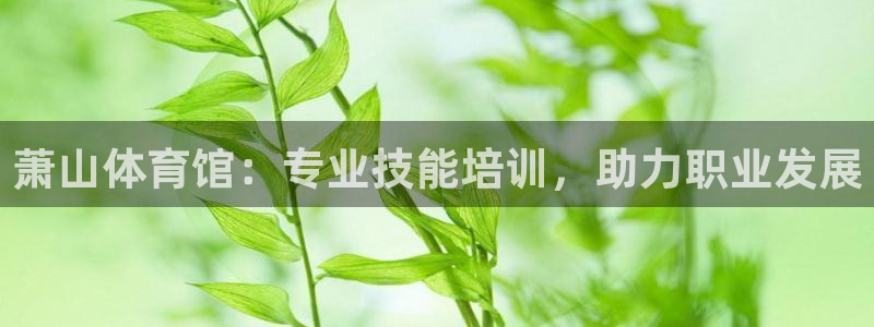 尊龙app下载官网：萧山体育馆：专业技能培训，助力职